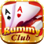 rummy ludo game icon