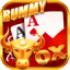 rummy se apk icon